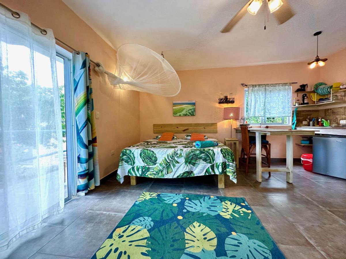 Boutique Kite For Up To 15 People Holiday home Cabarete