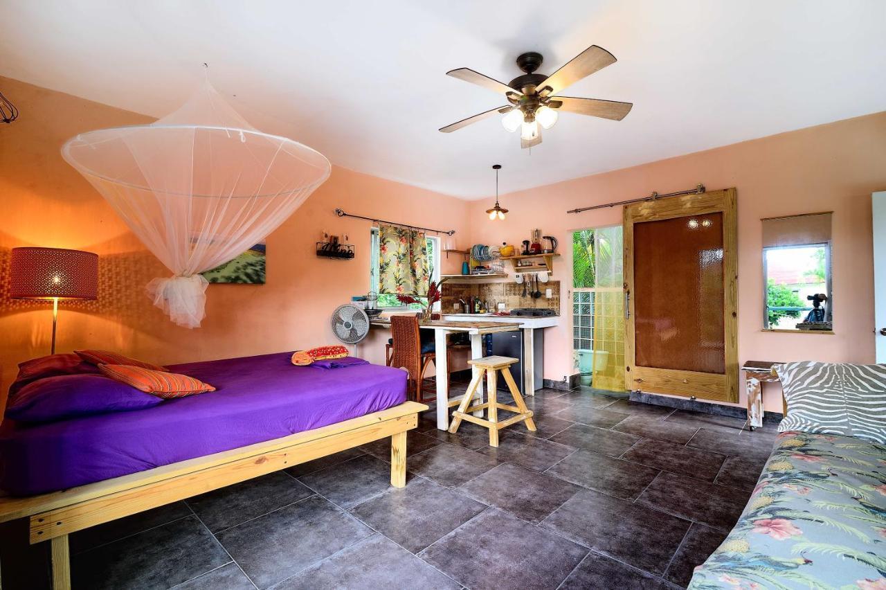 Boutique Kite For Up To 15 People Cabarete