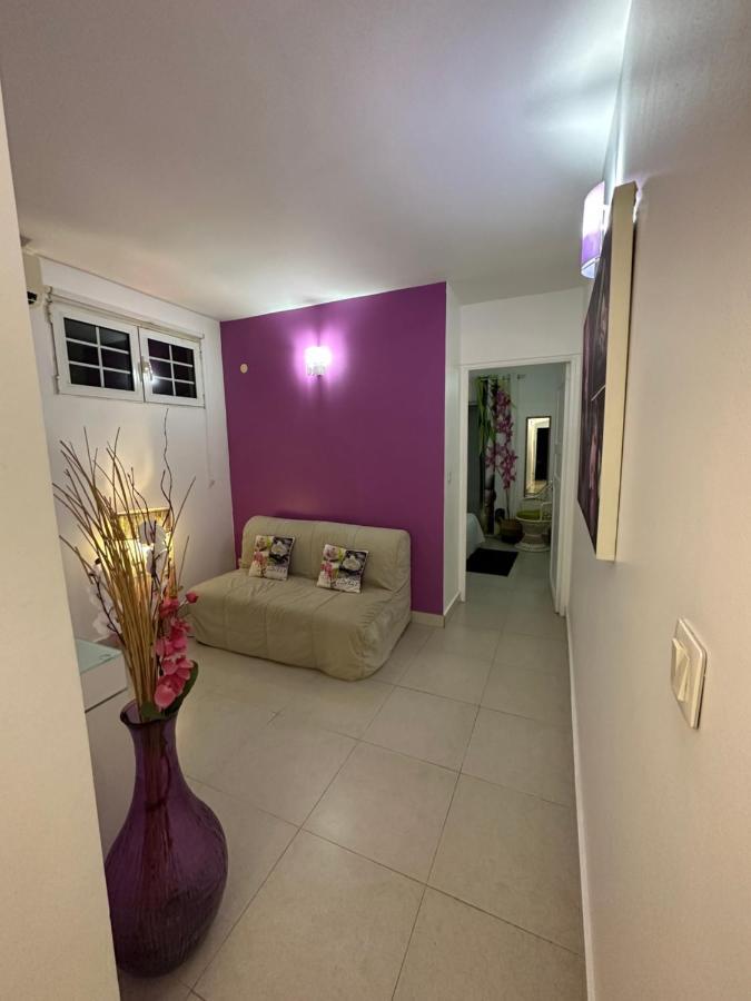 Coeur De Papillon Apartment