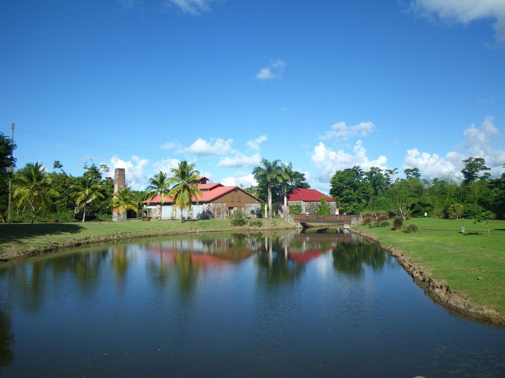 Apartment Village Creole