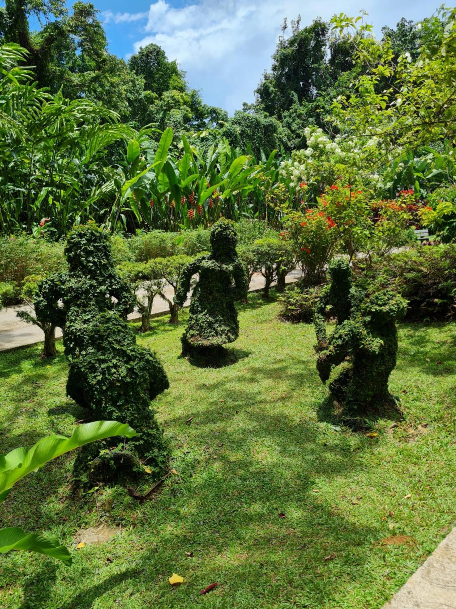 Les Kajou Holiday home