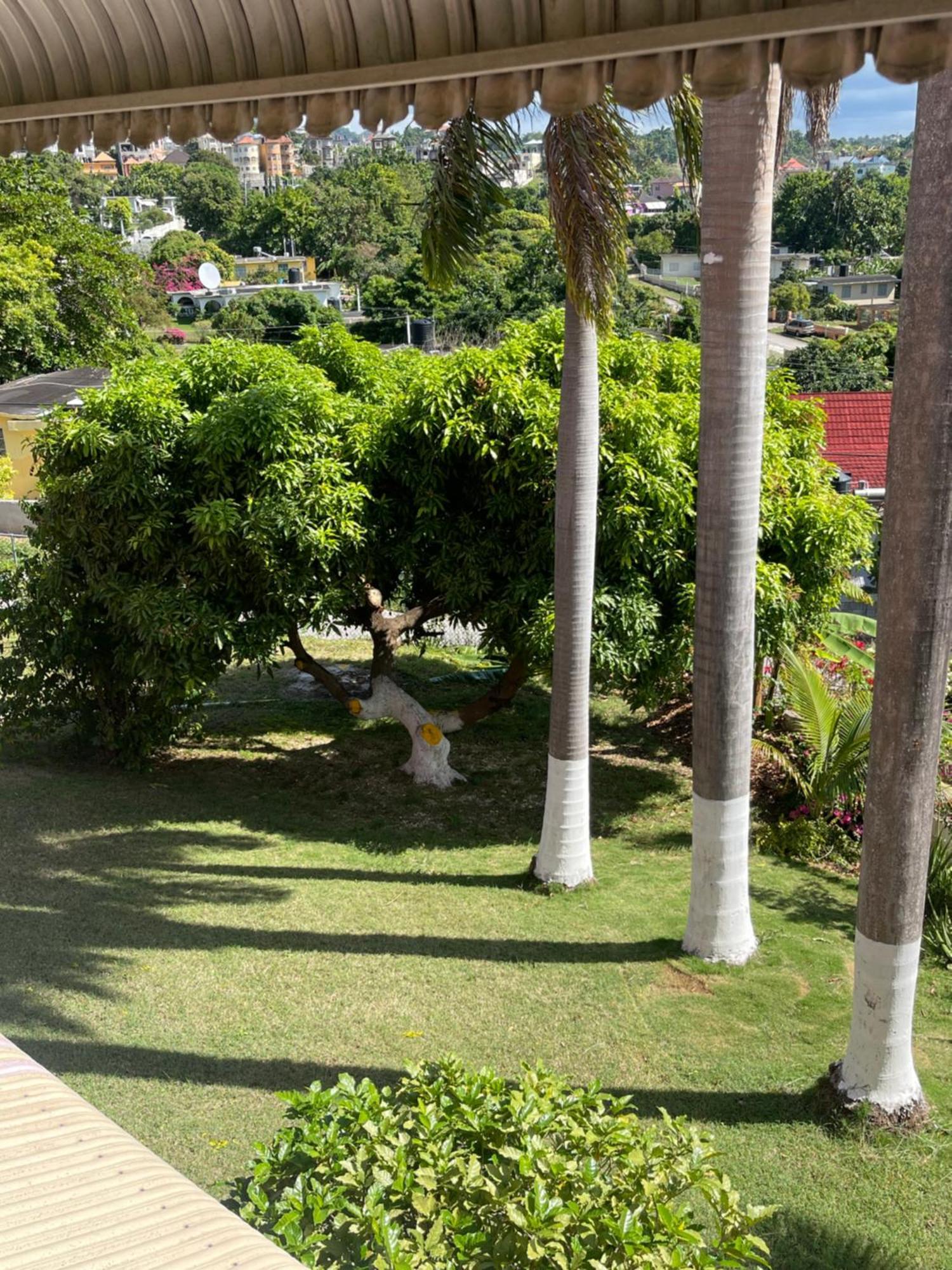 Three Palm