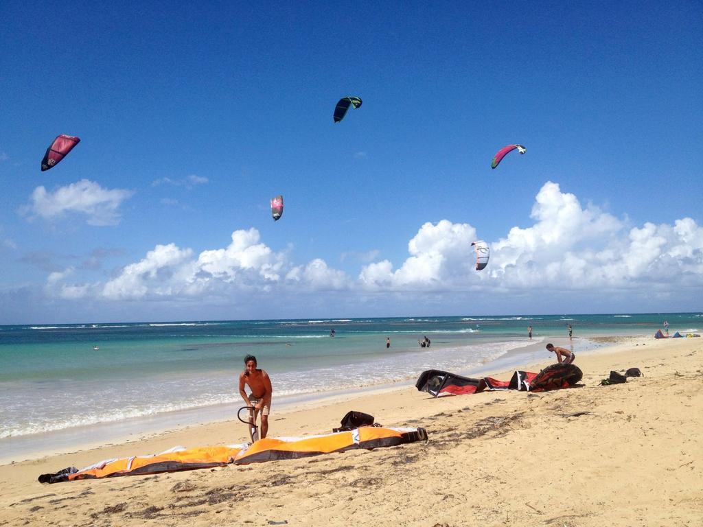 Dominican Tree House Village Alojamento Samana
