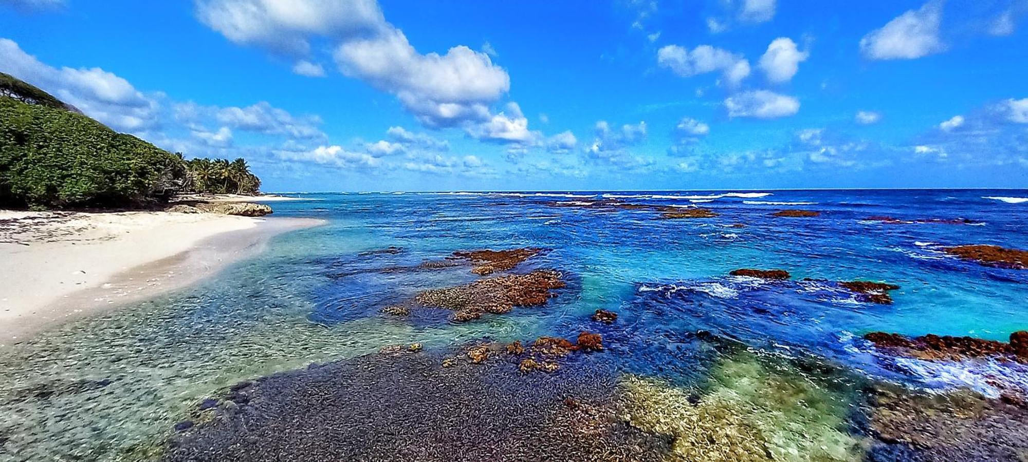 La Rose Du Bresil Marie-galante Hotel Capesterre