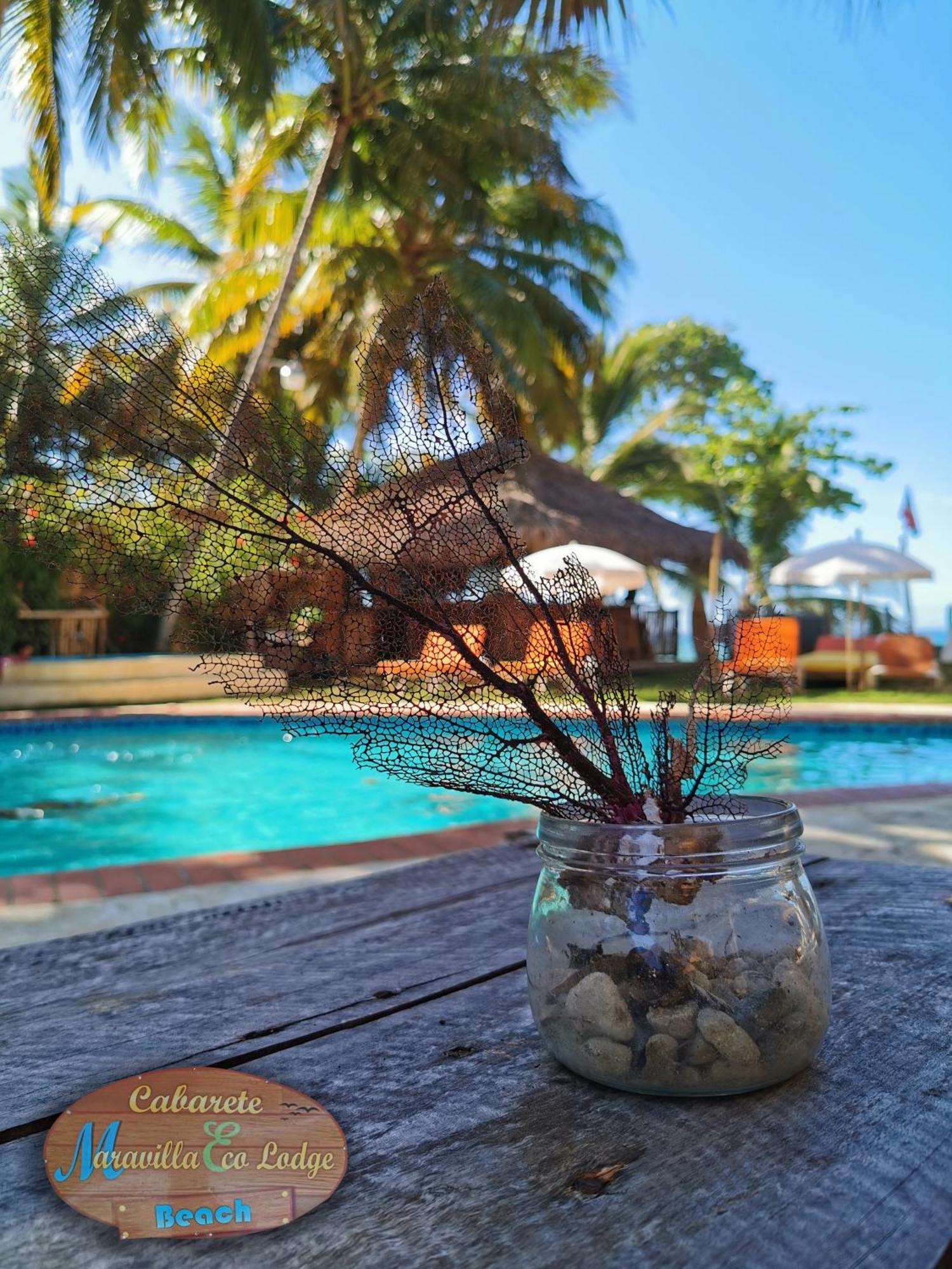 Maravilla Beachfront,encuentro, Surf, Kite Alojamento Cabarete