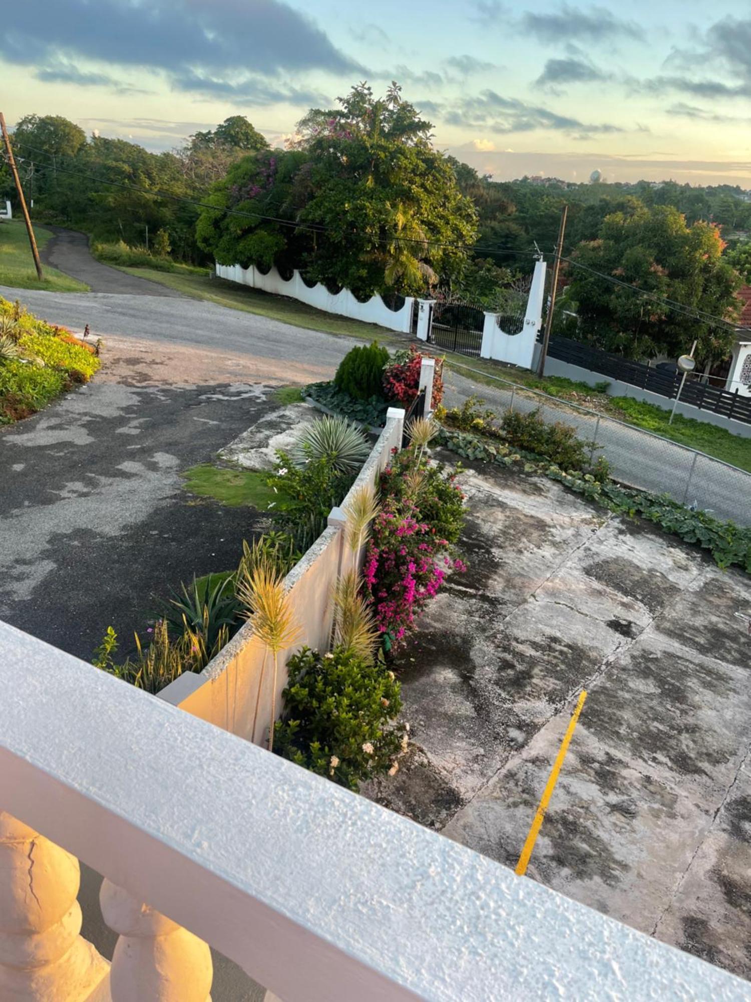 Guest house Three Palm Montego Bay