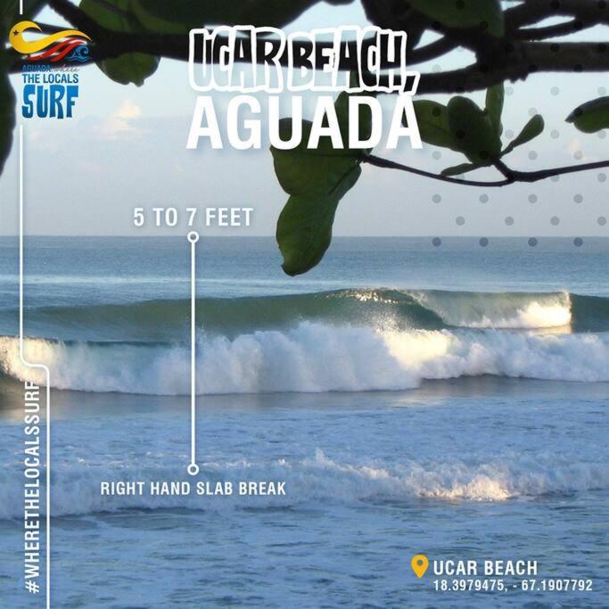Apartamento La Casa Hamaca En Aguada