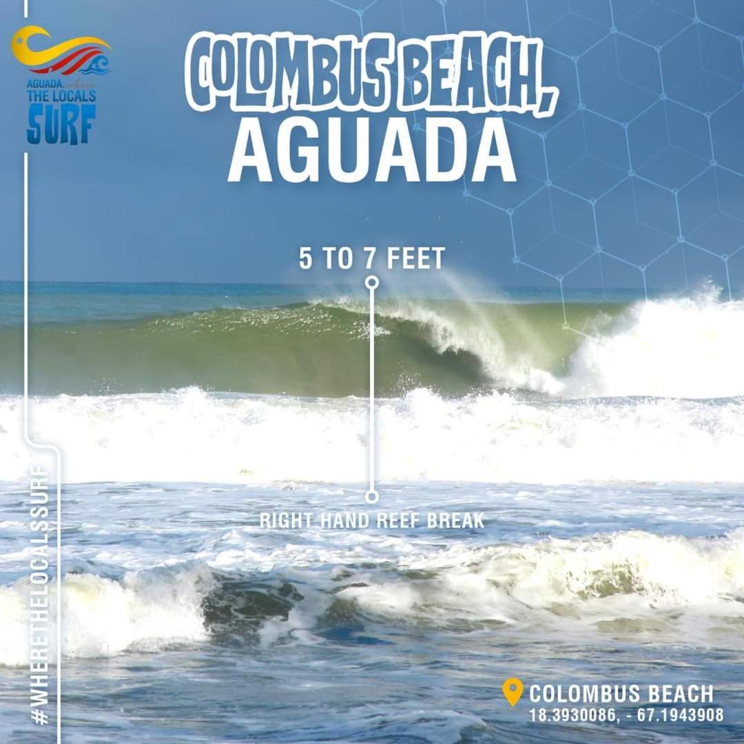 La Casa Hamaca En Apartamento Aguada