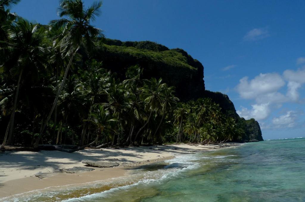 Dominican Tree House Village Alojamento
