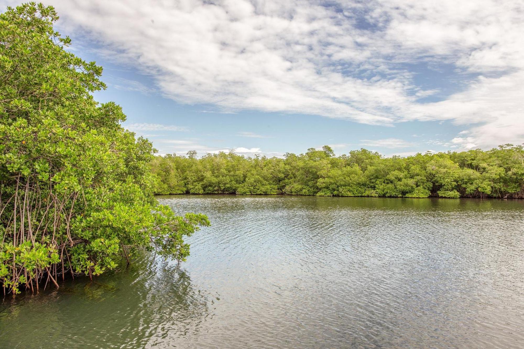 Holiday home Raices Realty Villa: Puerto Rico; Centrica, Acogedora, Tropical, Playa, Piscina,a/c