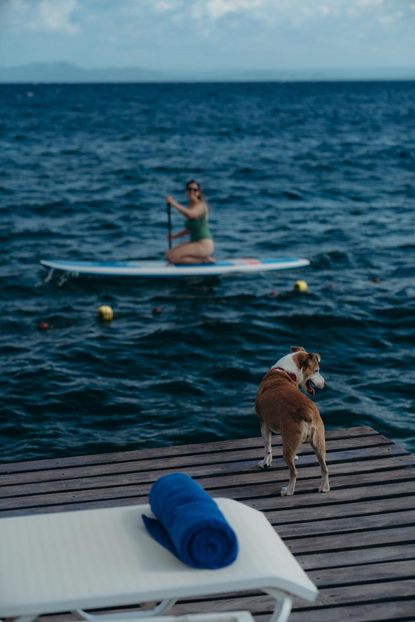 The Bannister & Yacht Club By Mint 5* Samana