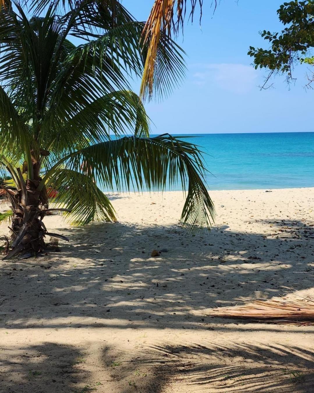 Aquatika Paraiso Tropical Apartment Loiza