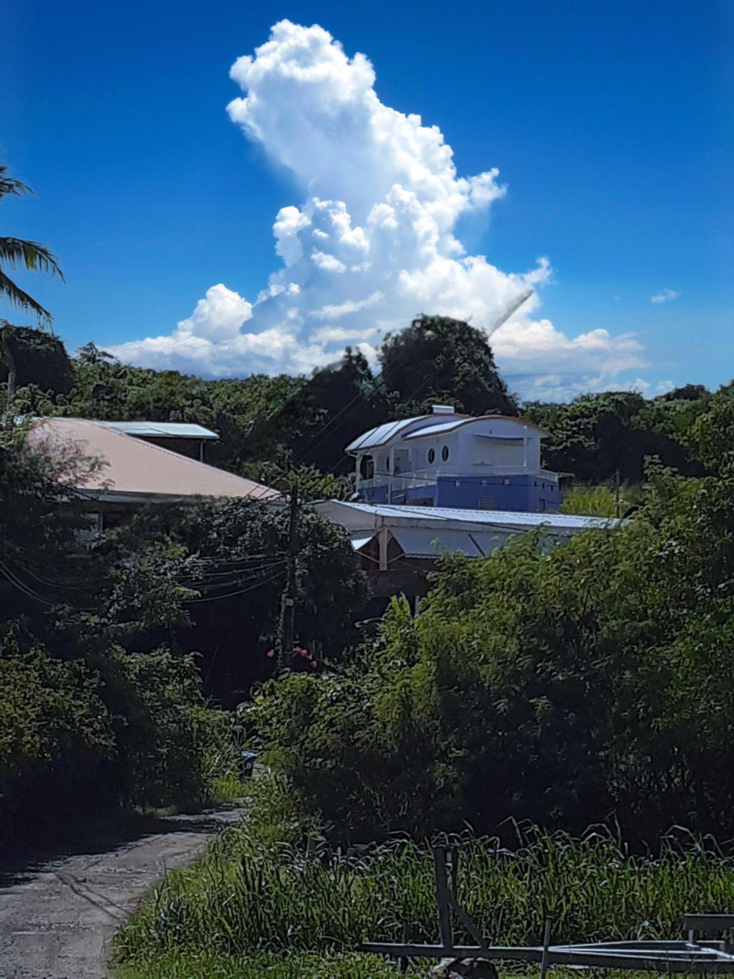Guest house A L'arche Bleue *