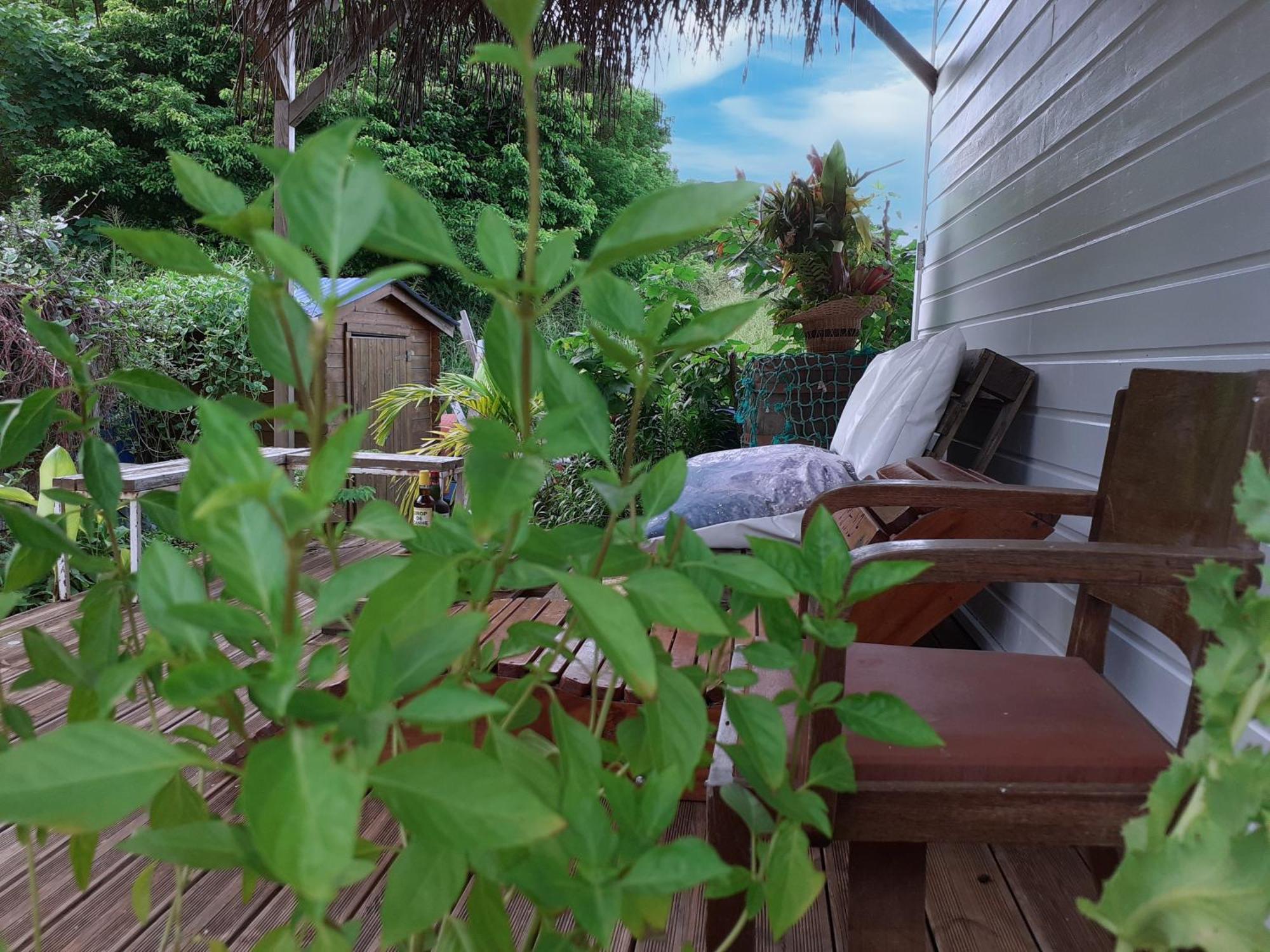 A L'arche Bleue Guest house