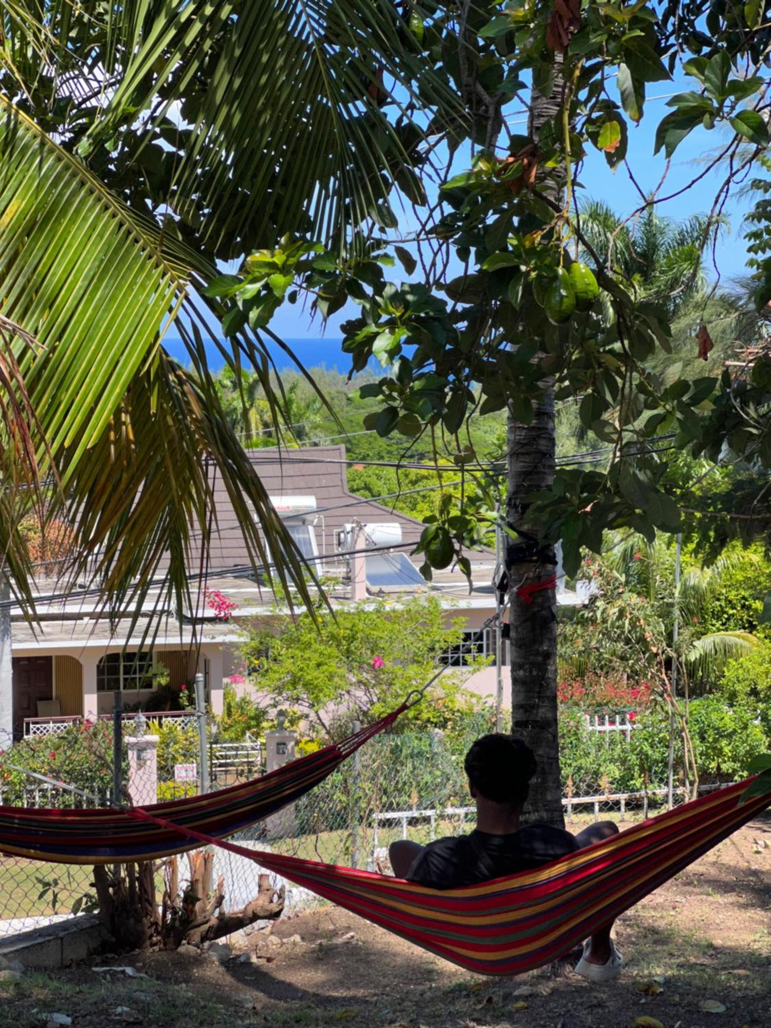Peaceful Palms *