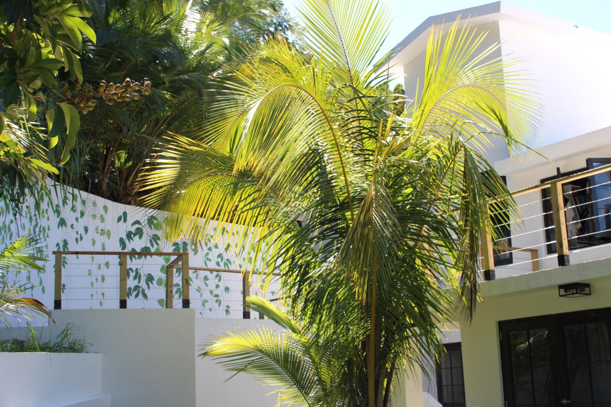 The Serene House * Luquillo