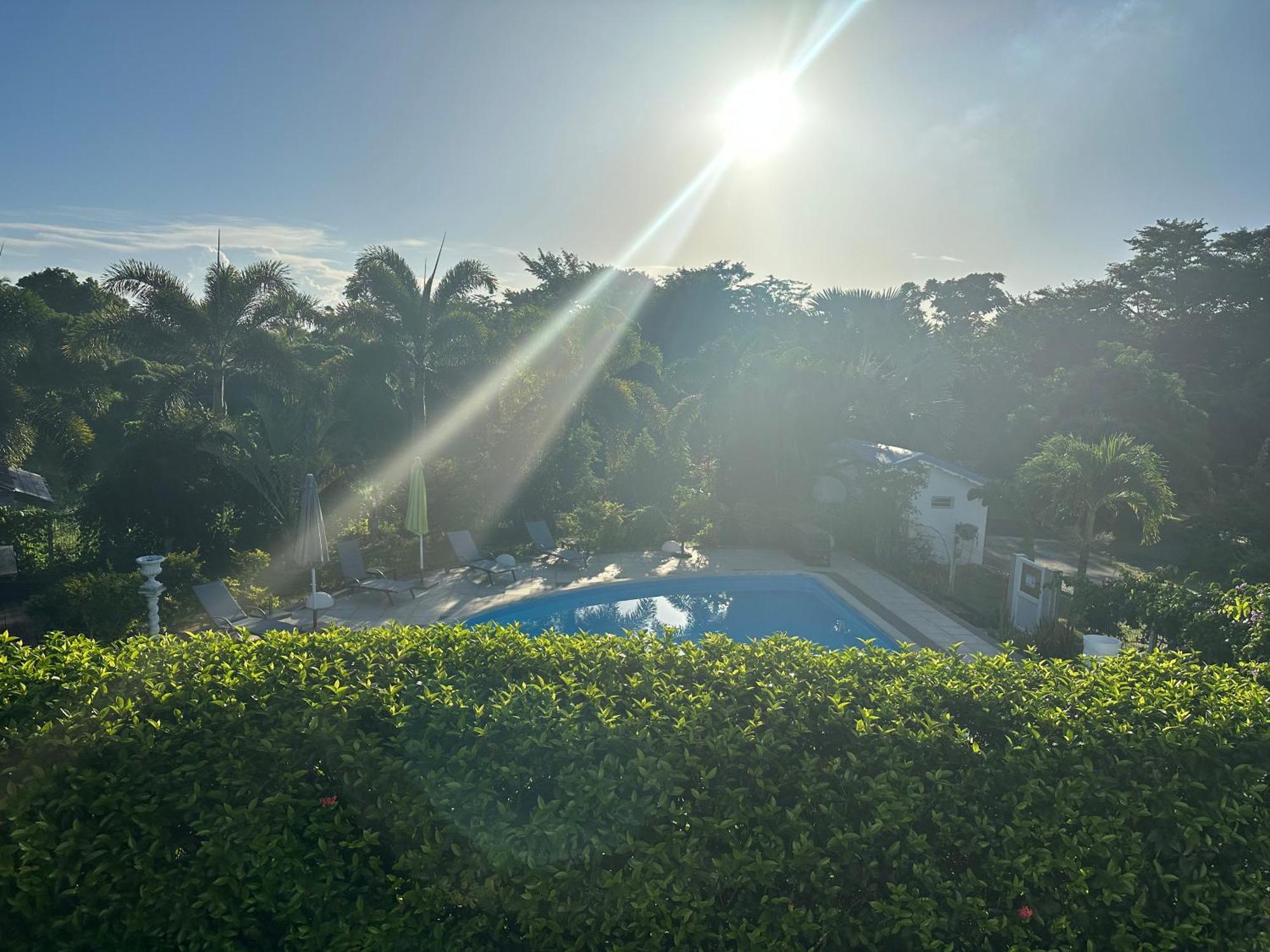 Coeur De Papillon Apartment Baie-Mahault