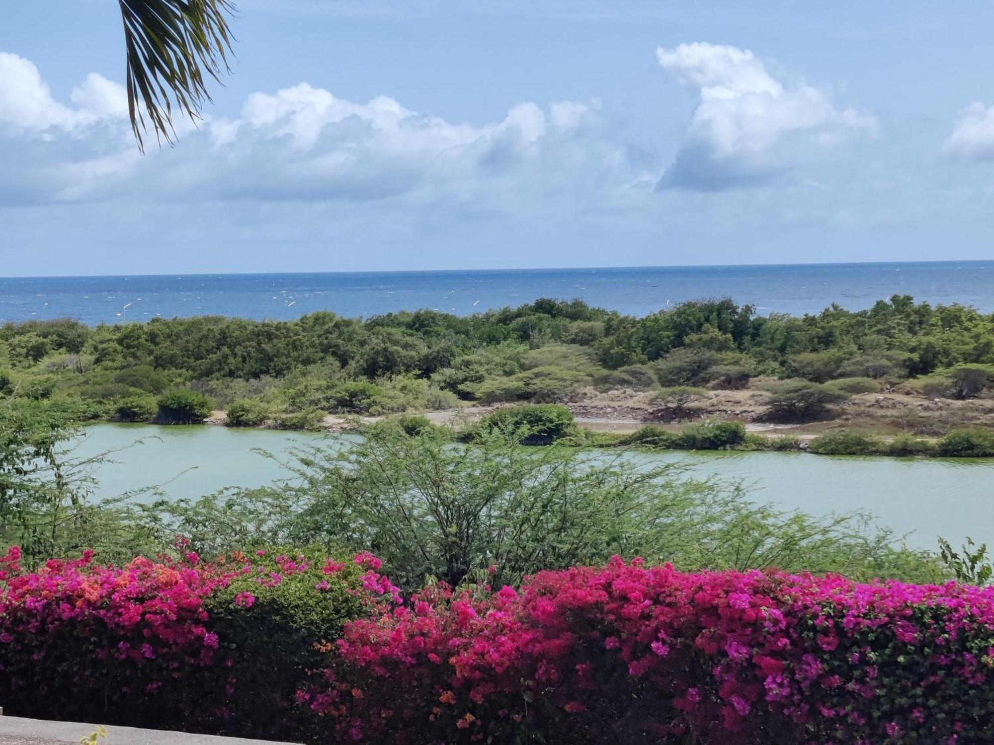 Royal Palm Curacao Geweldig Zeezicht Apartamento
