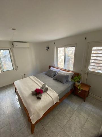 Guest house Palace