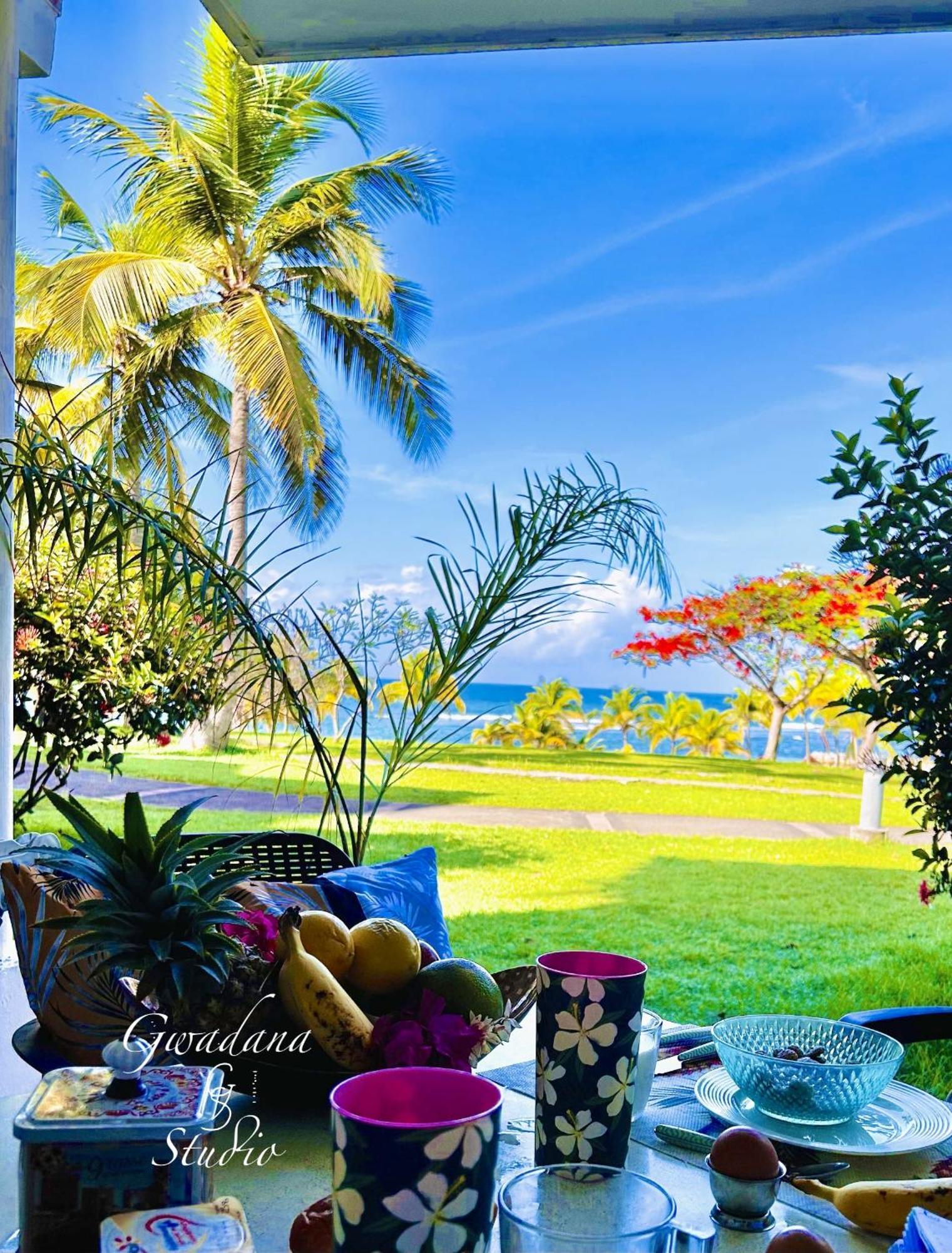 Acces Direct Plage, Vue D'exception, Les Gwada Studios, Village Sainte-Anne (Grande-Terre)