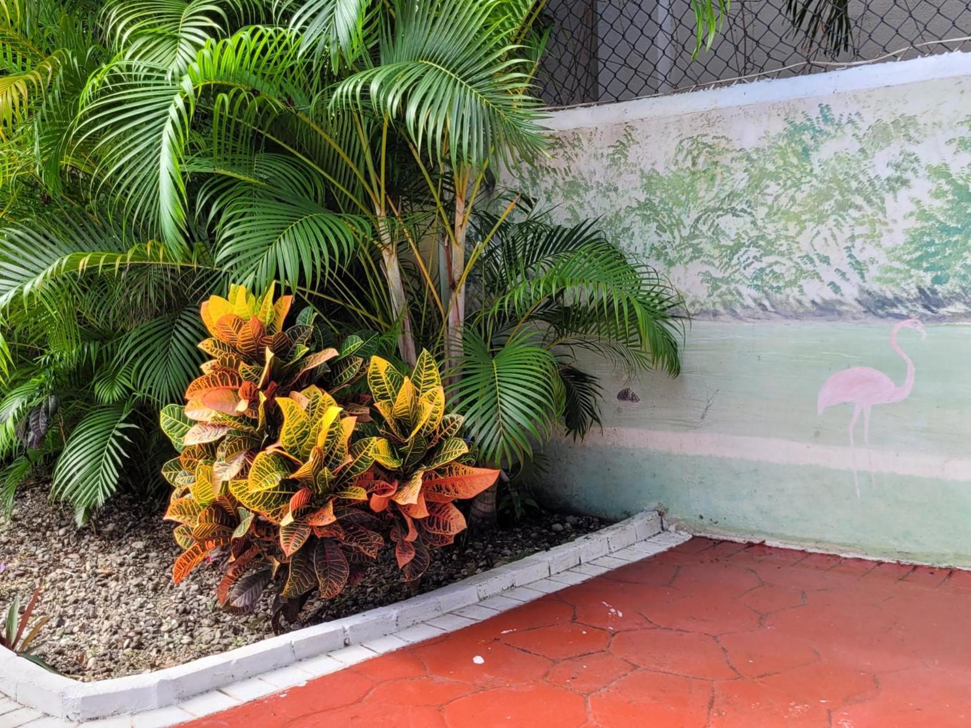 Hotel Calypso By The Urbn House Santo Domingo Airport