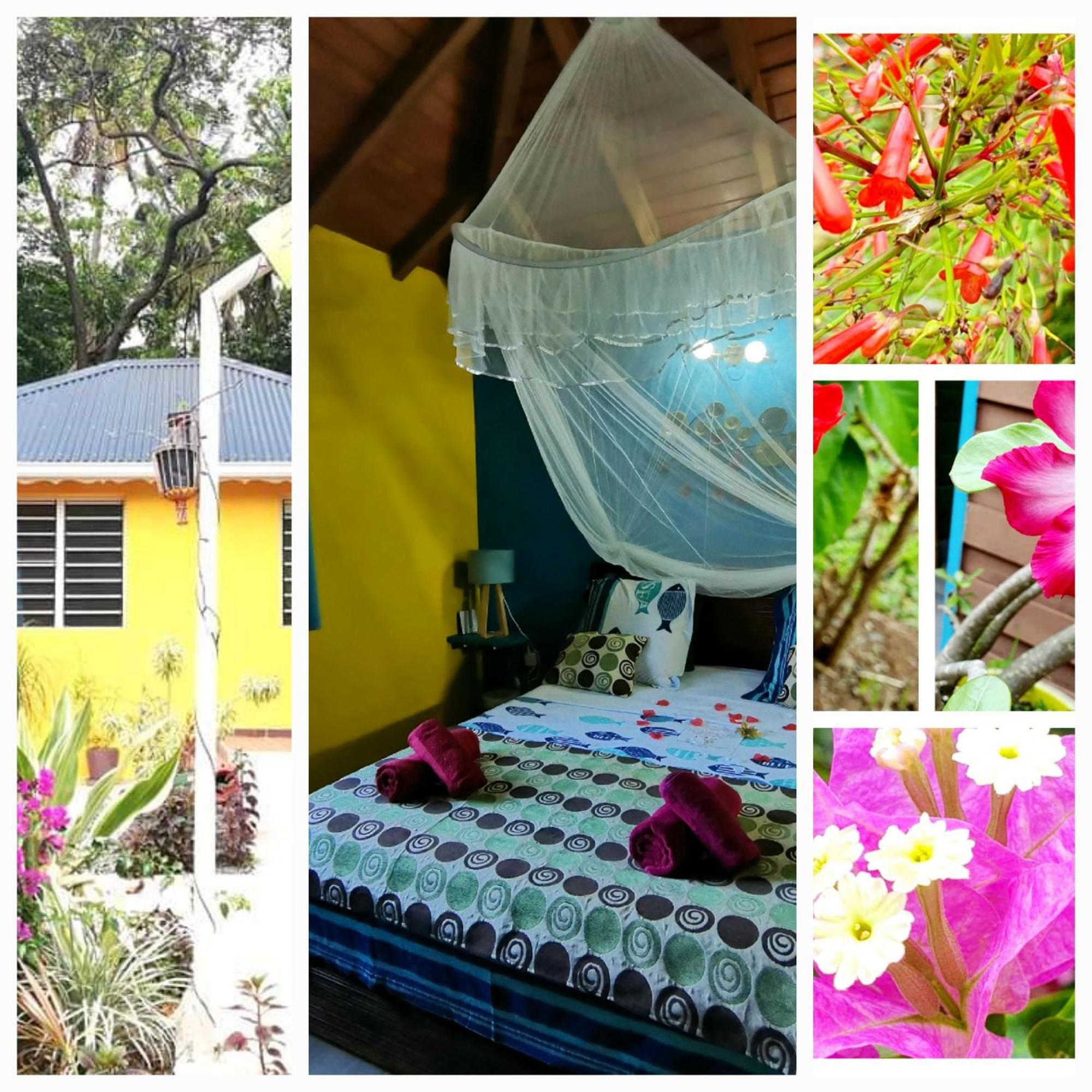 Au Sable D'or - - Wifi- Piscine Holiday home *
