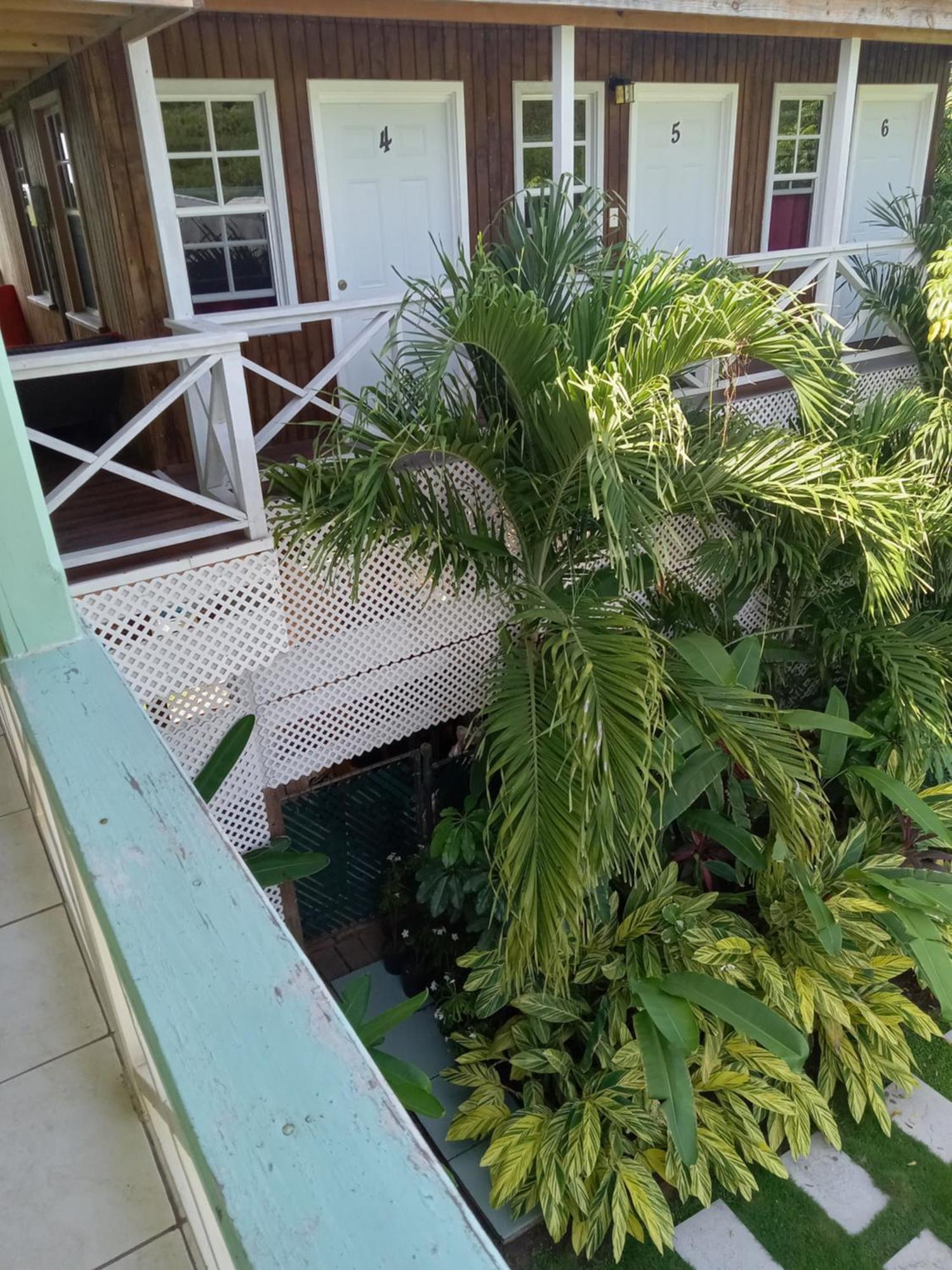 Unforgetable Gardens Apartment Falmouth Harbour