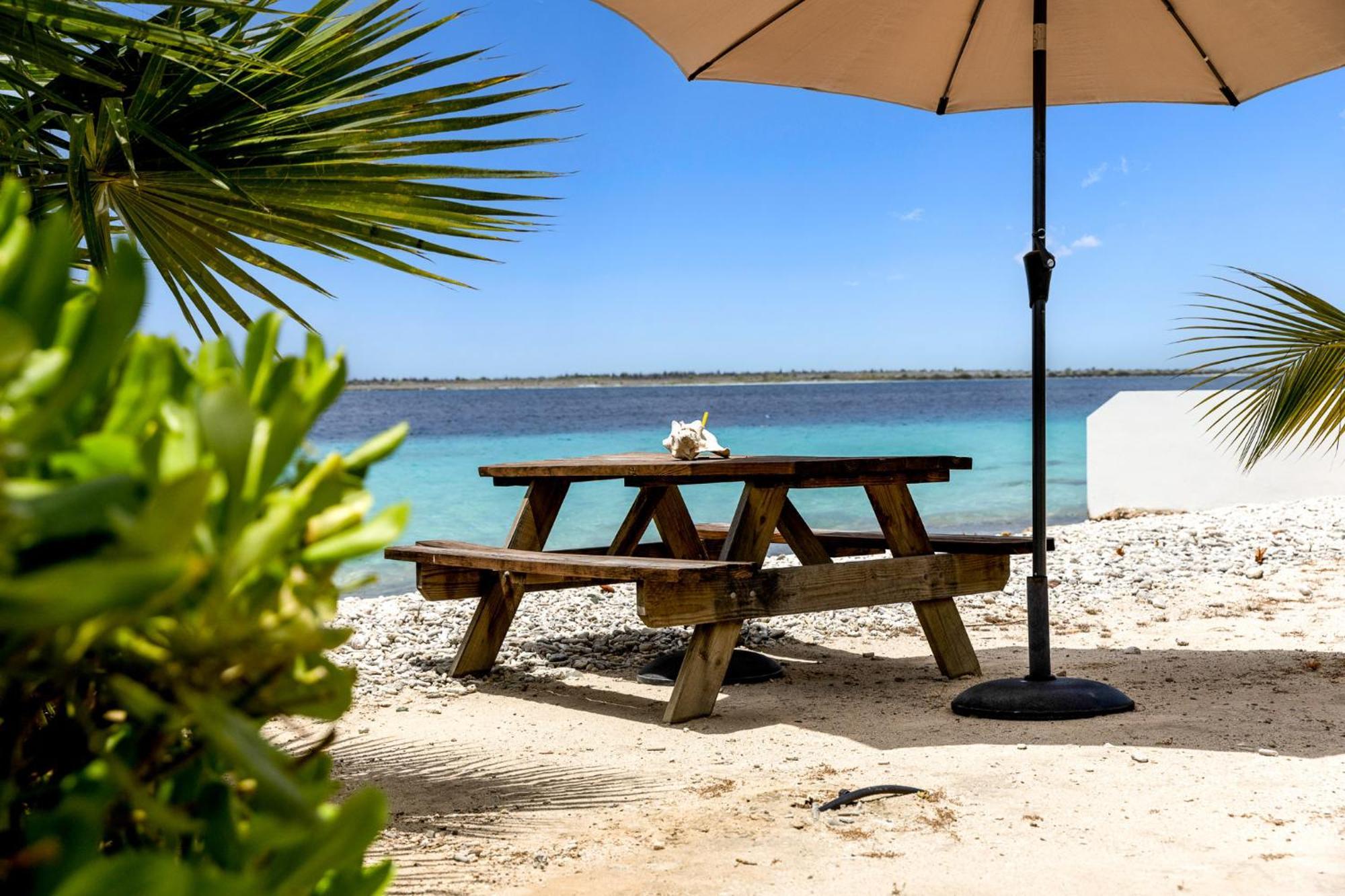 Oceanfront - Port Of Call - * Kralendijk (Bonaire)