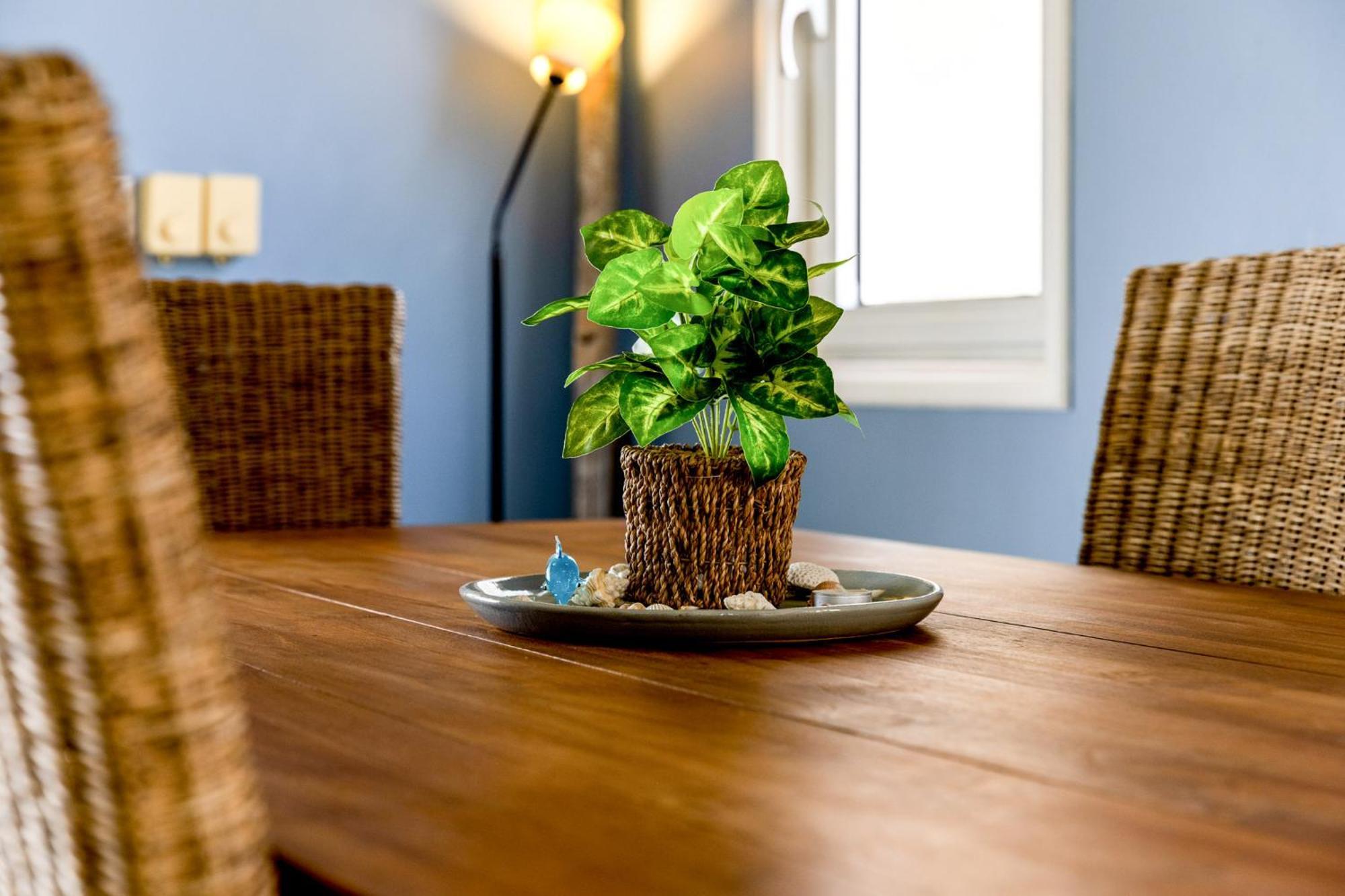 Villa Oceanfront - Port Of Call - Kralendijk (Bonaire)