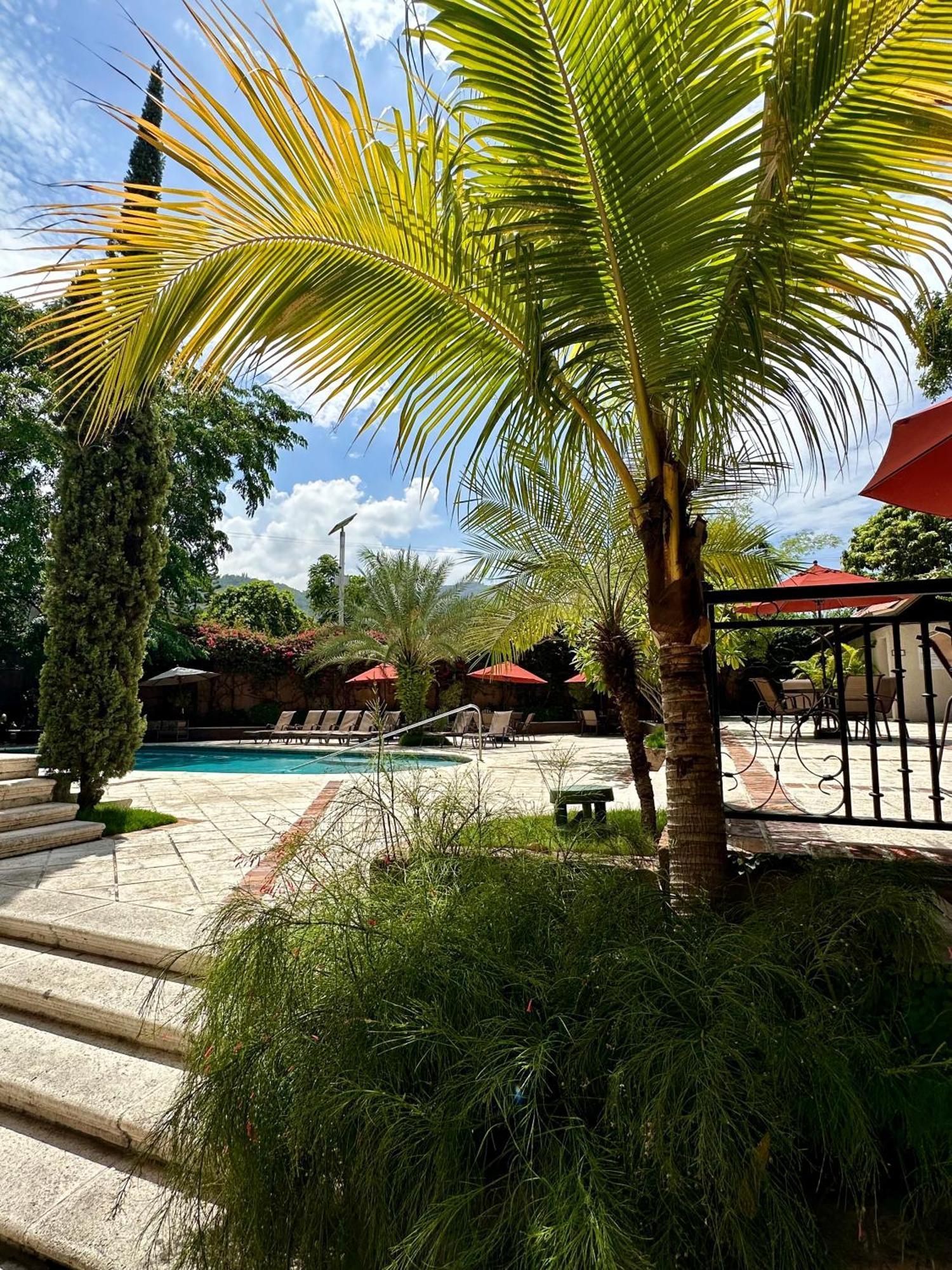 Hotel Therese