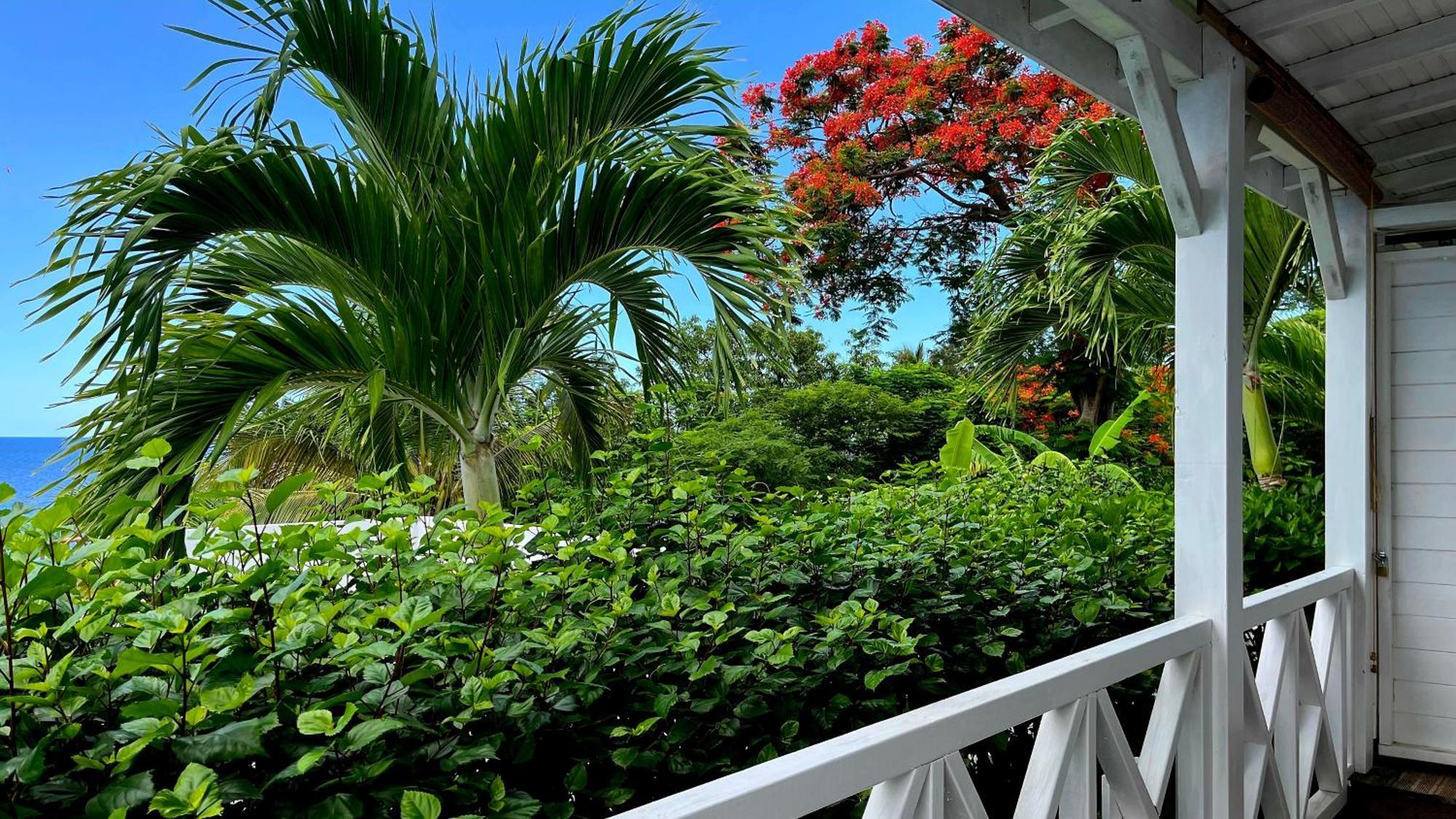 Apartment La Belle Vue - Grand Vues Et Acces Plages