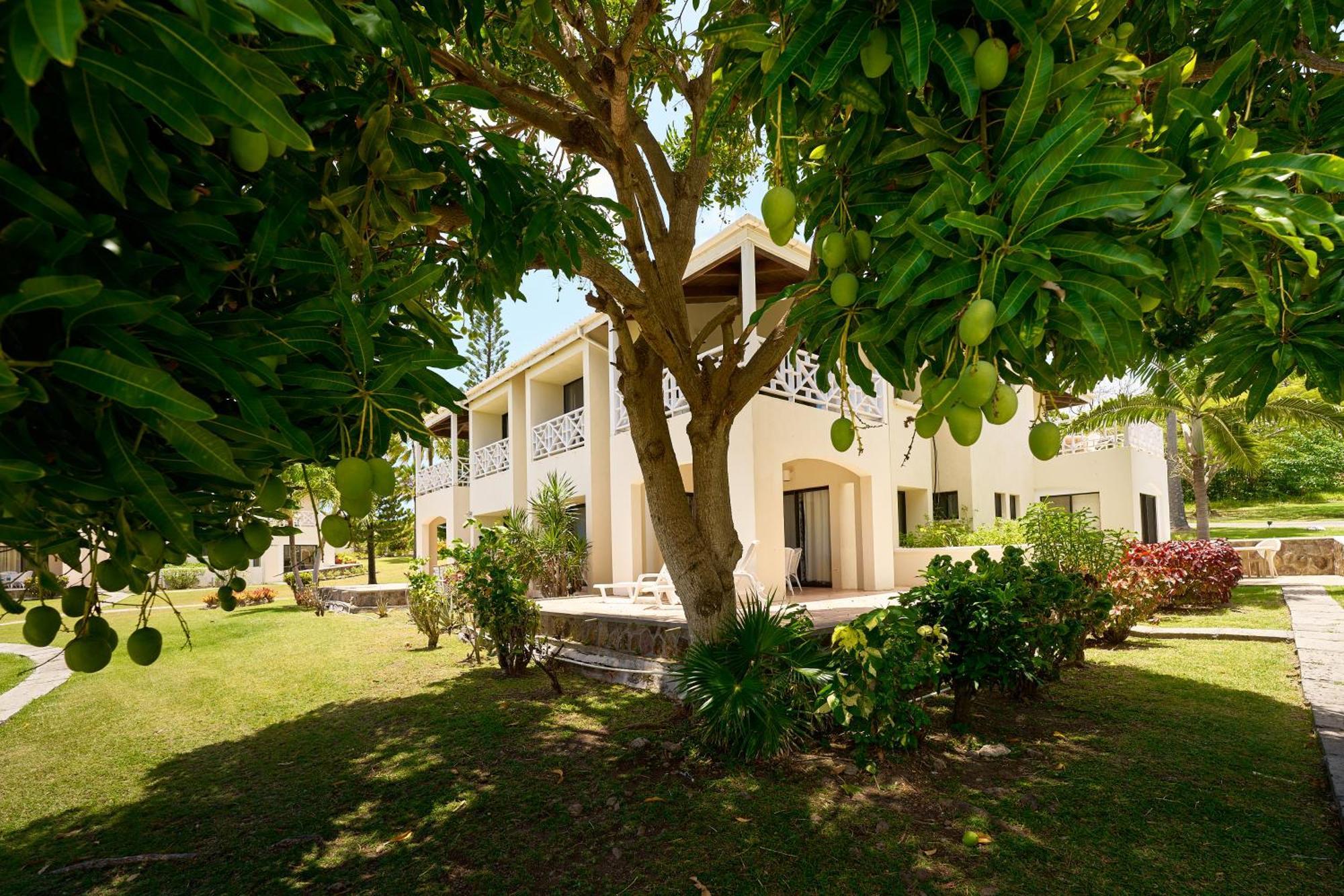 Hotel Mount 4*