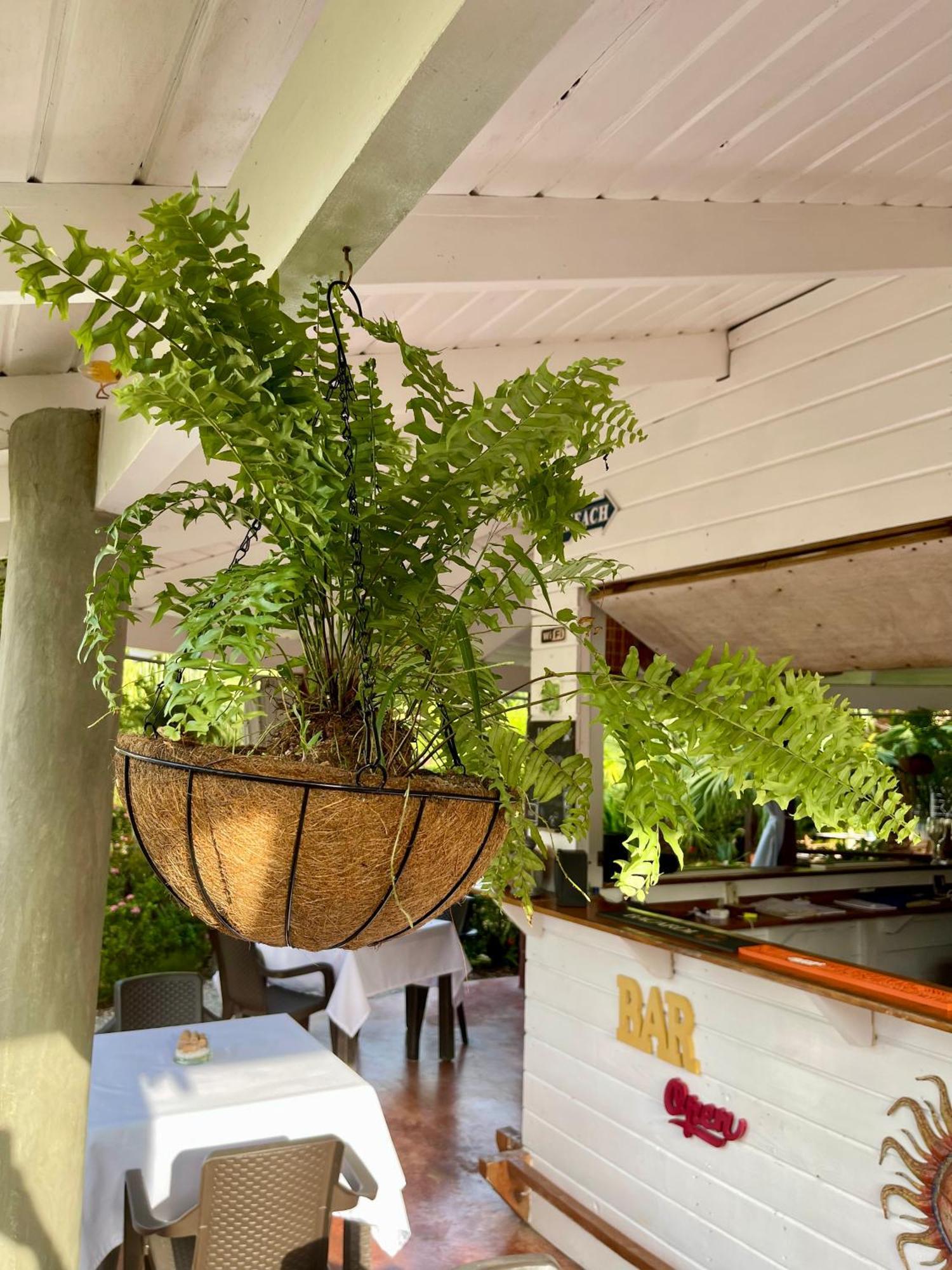 Casa de hóspedes 21 Palms