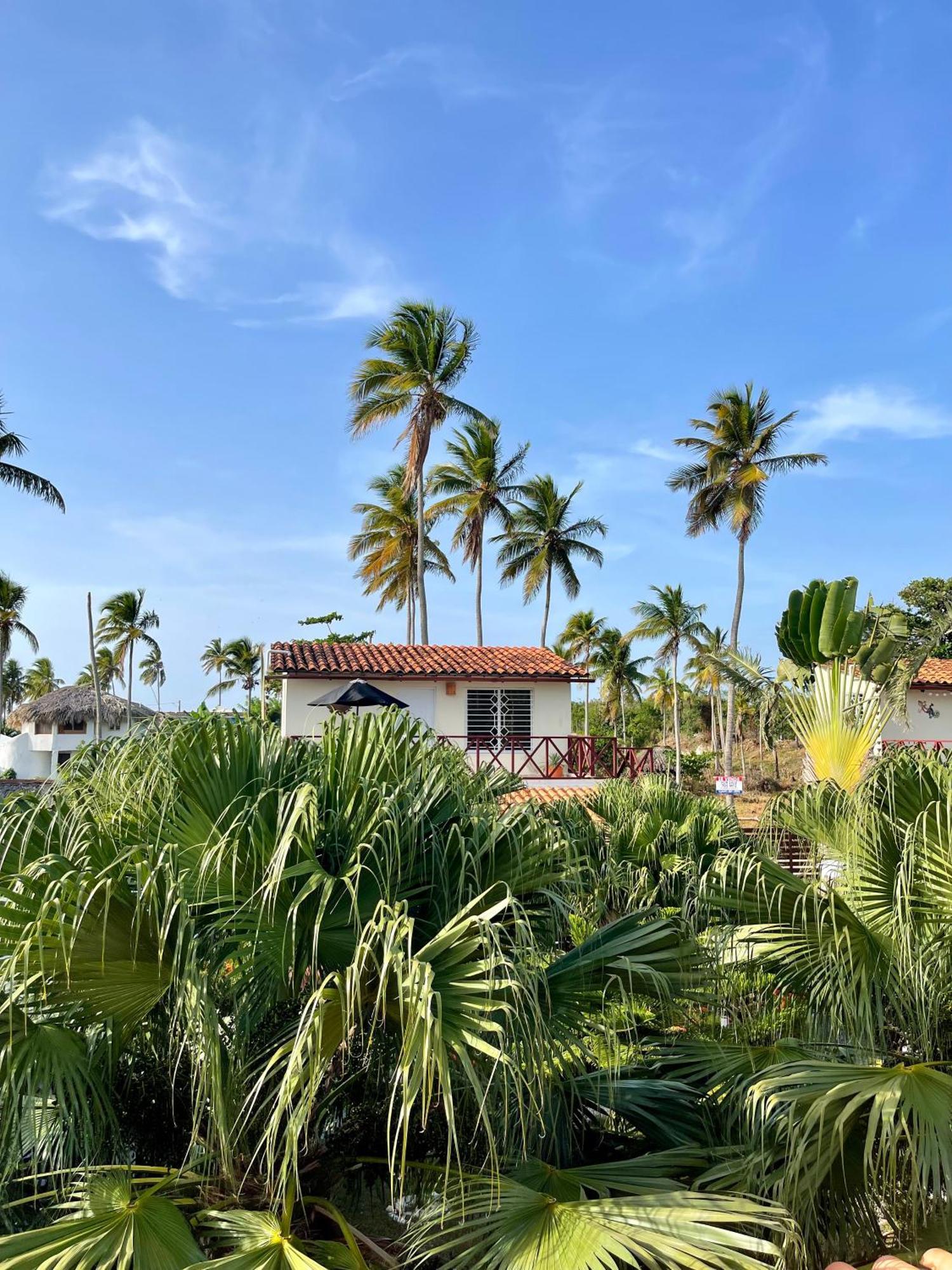 Casa de hóspedes 21 Palms 3*