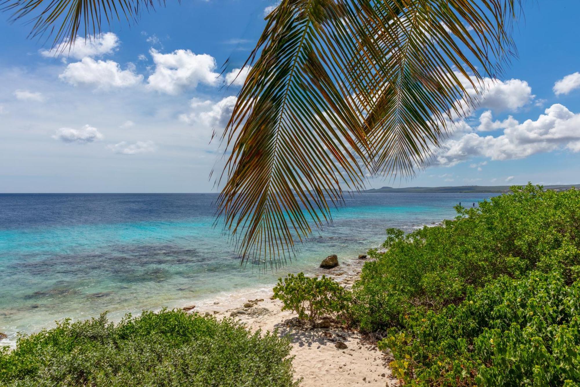 One Ocean Boutique & Bonaire Apartment *