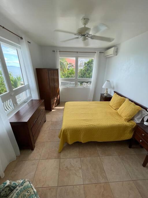 Oceanic Sint Maarteen Villa *