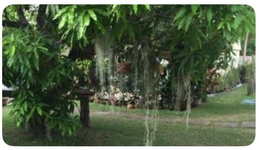 Apartamento Beryls At Seawind On The Bay , , Jamaica Montego Bay