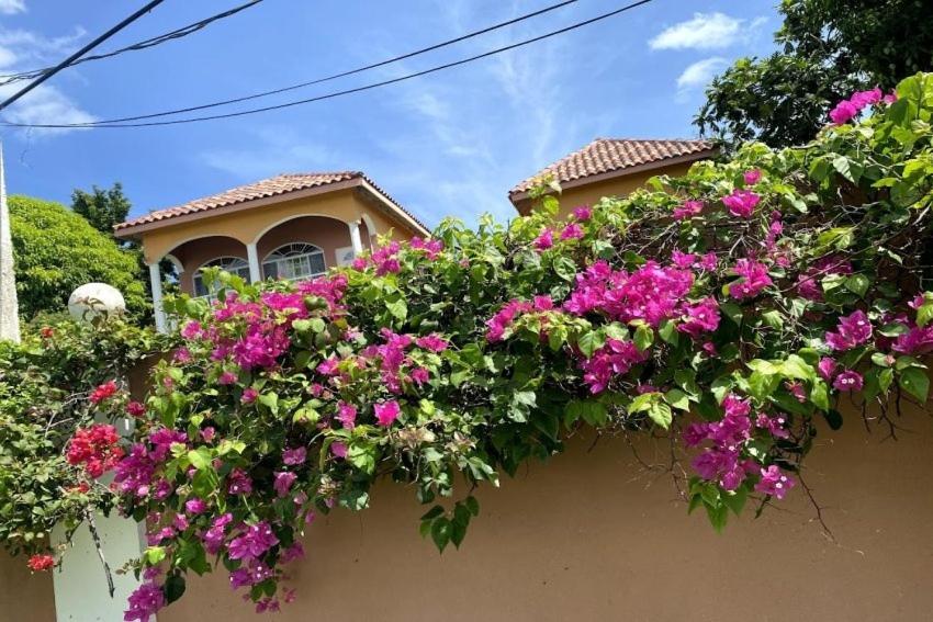 Villa Yanceylargoestate- 3 Bedroom Withmountain Views Montego Bay