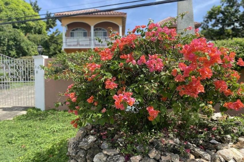 Yanceylargoestate- 3 Bedroom Withmountain Views