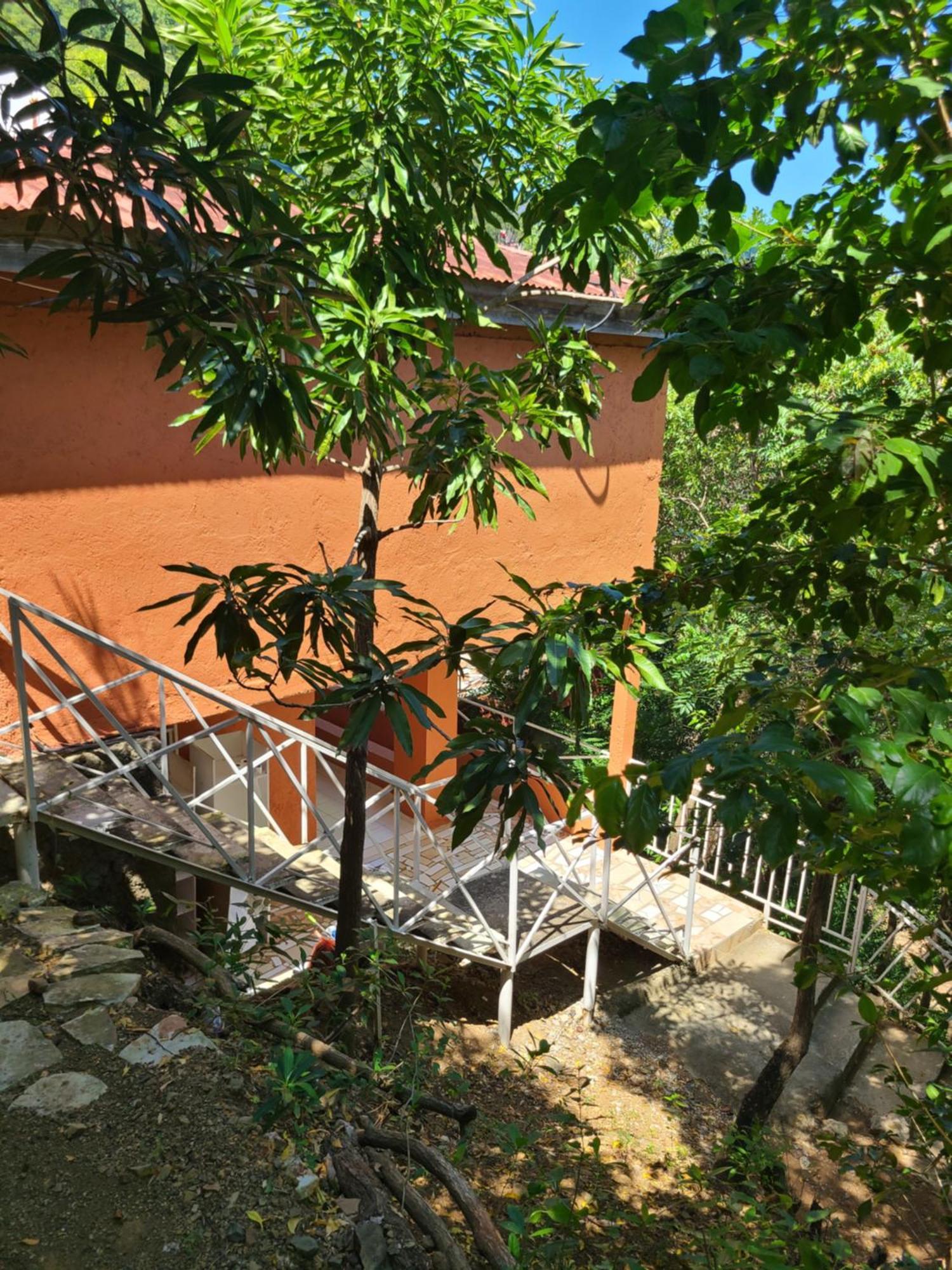 Habitation Des Lauriers Hotel