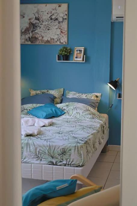 * Le Dauphin * Vue Mer, Clim Et Parking *