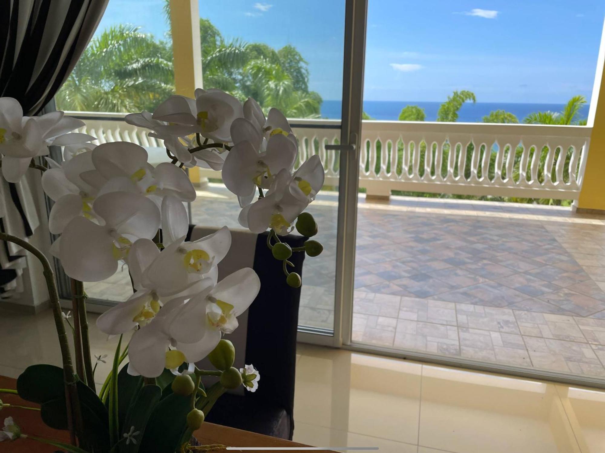 Aparthotel Spring Garden Mobay Montego Bay
