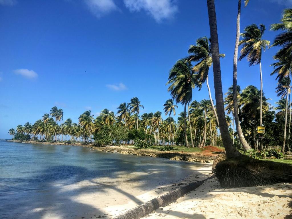 Guest house La Caleta Las Galeras