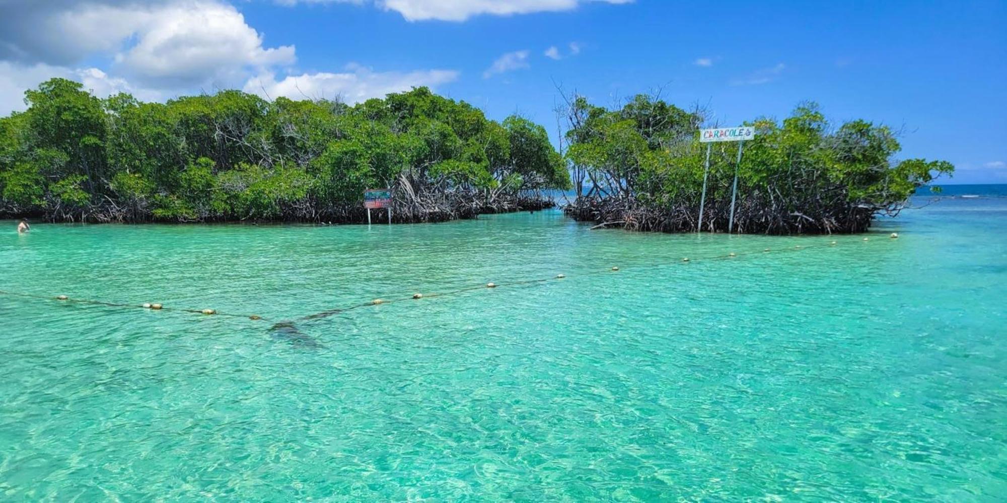 La Jamaca - Island Vibe La Parguera