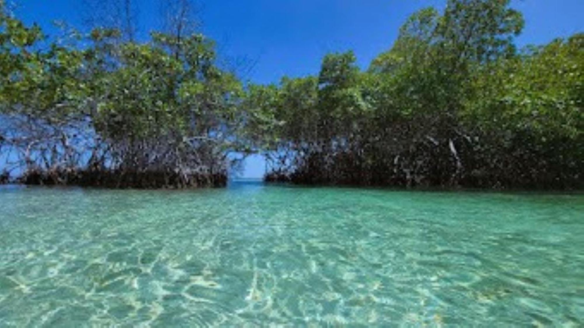 La Jamaca - Island Vibe La Parguera