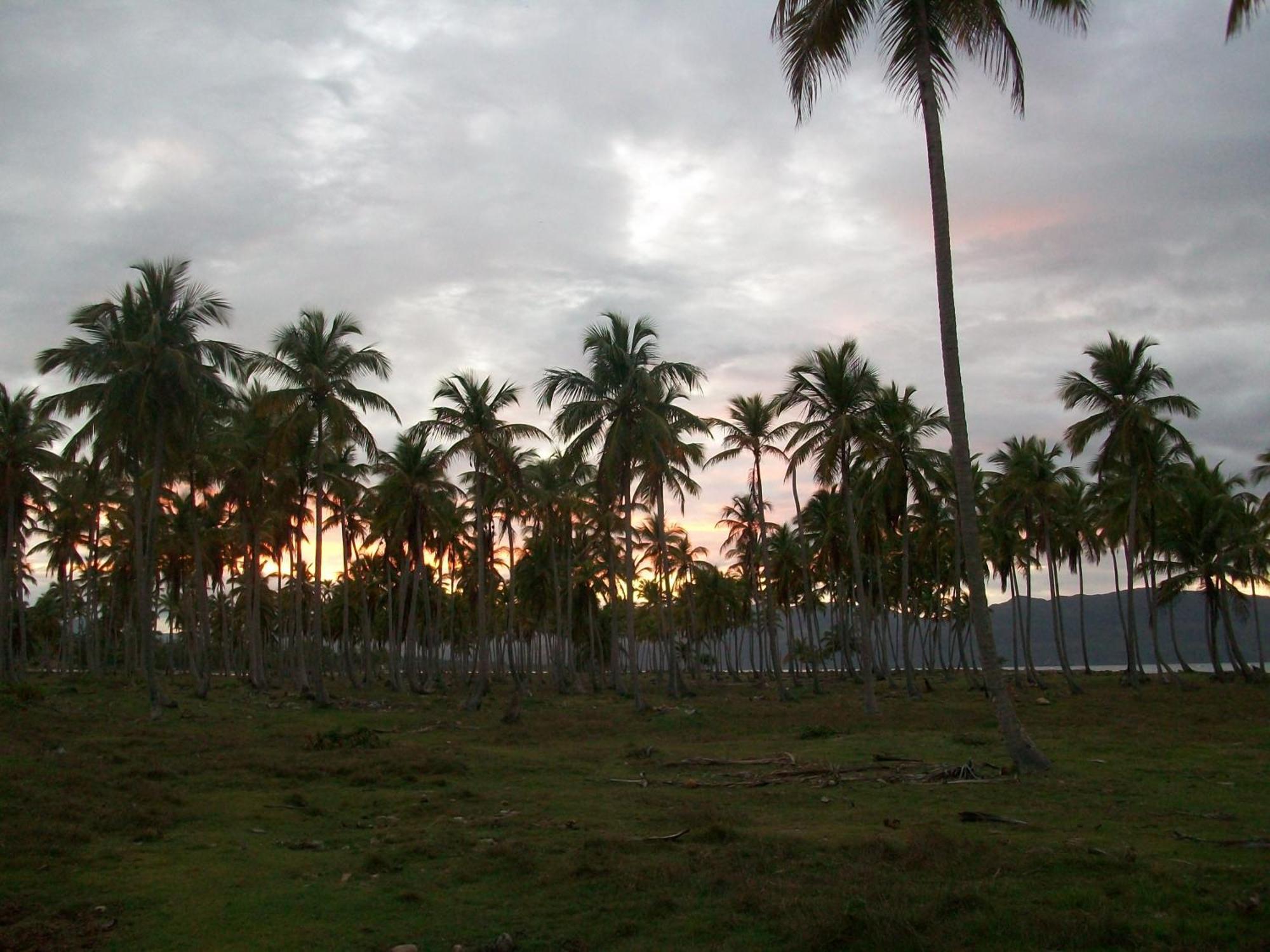 Guest house La Caleta *