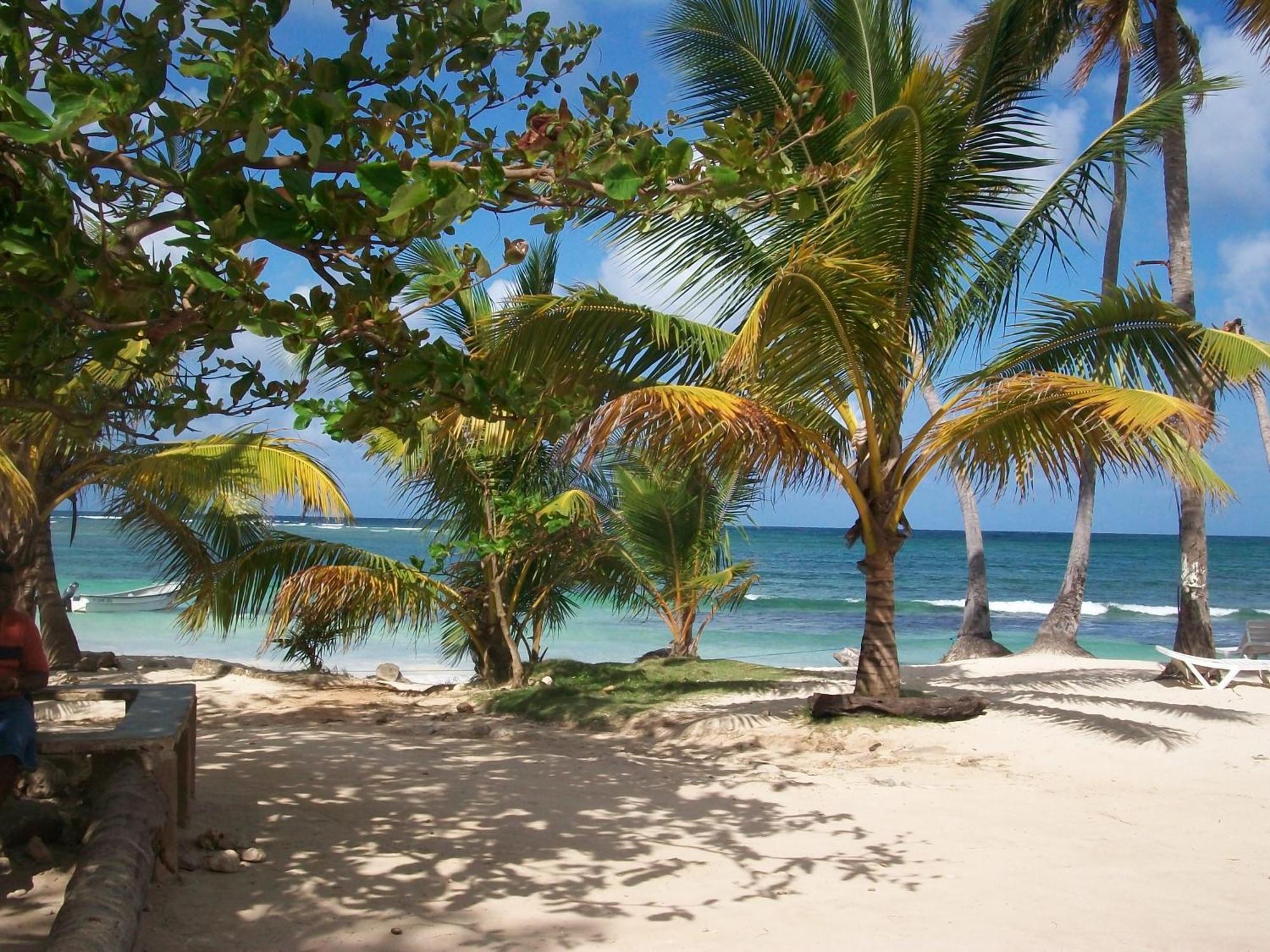 Guest house La Caleta