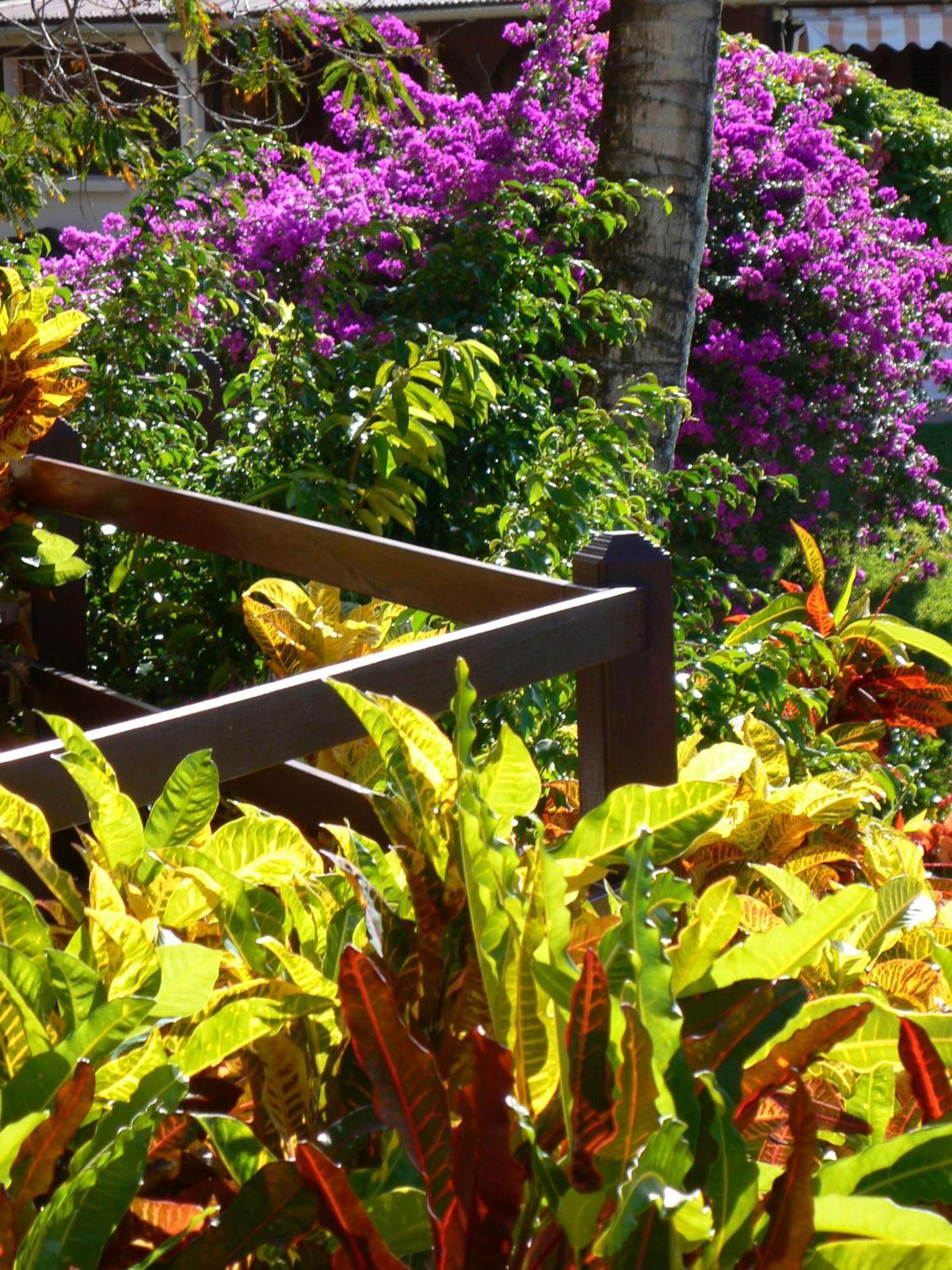 - Habitation Grande Anse Hotel Deshaies