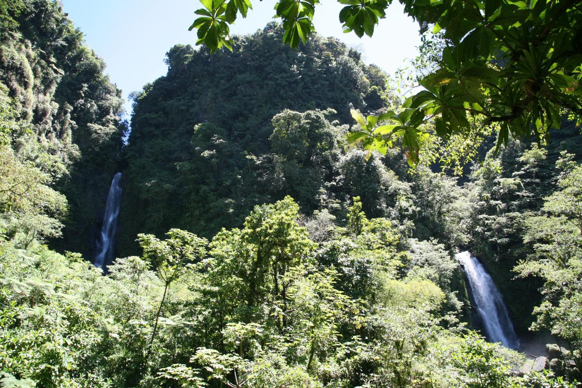 Natty Tropical Valley Hotel 2*