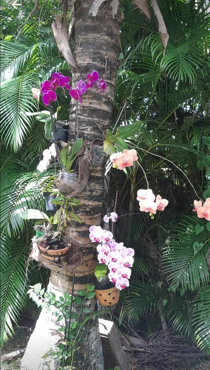 Casa de férias Villabadlou 